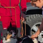 Cinci cățeluși au fost adoptați la Târgul de adopții de la Rovinari