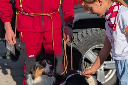 Cinci cățeluși au fost adoptați la Târgul de adopții de la Rovinari