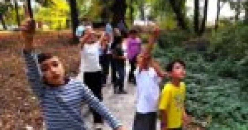 Copiii au decorat hrănitori și au descoperit secretele păsărilor, la Muzeul de Artă