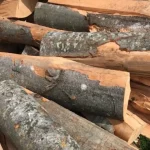 Lemn de foc la 320 lei/mc: Direcția Silvică Gorj a livrat 23.000 mc