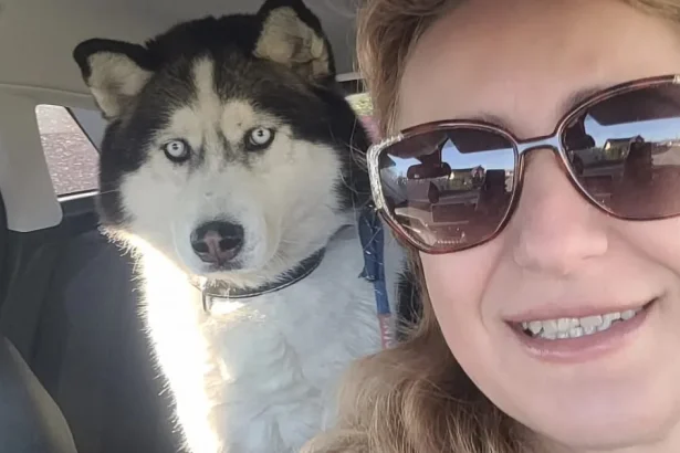 Salvamont și interpreta Claudia Dascălu, împreună la Târgul de Adopții Canine