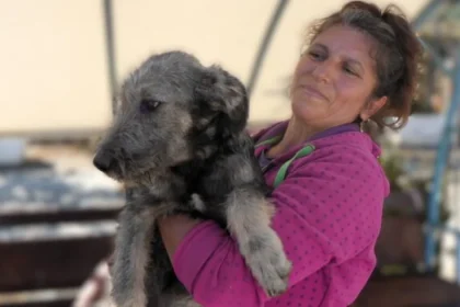 Studenții UCB participă la Târgul de Adopții Canine de la Rovinari