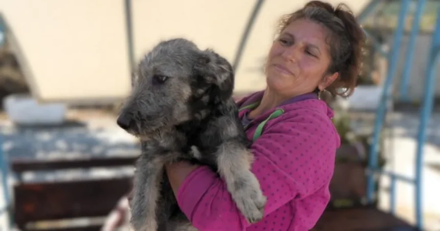Studenții UCB participă la Târgul de Adopții Canine de la Rovinari