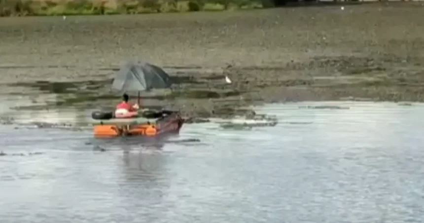 VIDEO Lacul de acumulare de pe Jiu, din zona Vădeni, a fost curățat